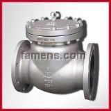 Swing Check Valve