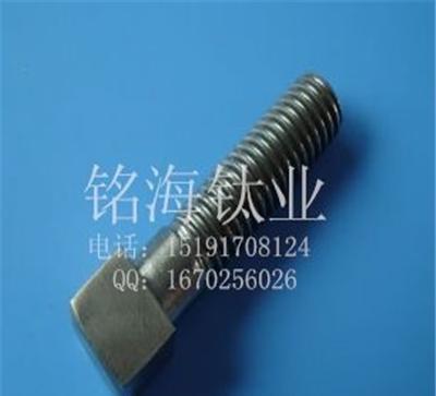 厂家供应  钛方头螺栓   品质保证   价格合理