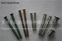 廠家批量生產(chǎn)供應(yīng)半空心鉚釘 semi-tubular rivet