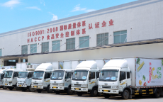 石龙蔬菜配送公司 石龙园洲工厂食堂配送菜