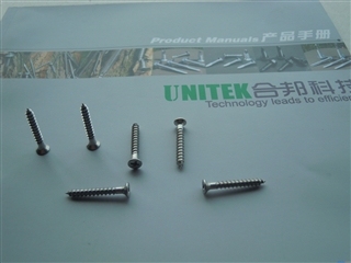 SS304 (316) DIN97  Wood Screws