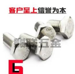 廠家供應優(yōu)質外六角螺絲