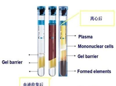 BD Vacutainer CPT 单个核细胞准备管