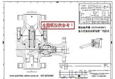 德国施罗德(schroeder)最小流量保护阀