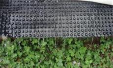 火热销售蓄排水板产品,屋顶绿化的好帮手!