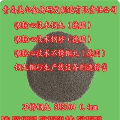 供應(yīng)QM核心技術(shù)(德國)不銹鋼丸廠價直銷