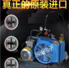 代理JUNIOR II-W交流电220V现货空气充气泵、压缩机