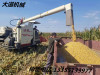 小麦收割机    收玉米籽粒  生产厂家