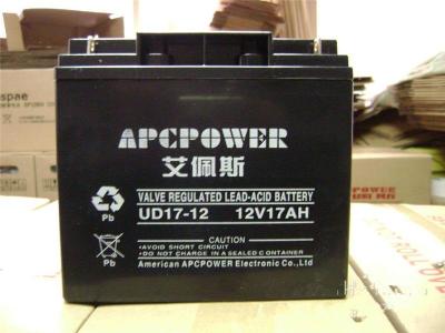 艾佩斯蓄电池12V24AH UD24-12参数价格