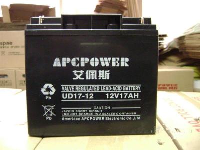 艾佩斯蓄电池UD24-12 UD系列报价
