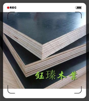 天津建筑竹胶模板批发市场