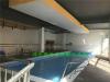 天津室内大型钢结构游泳池水育早教游泳池健