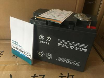 滨力蓄电池MF12-38 12V38AH价格参数表