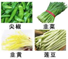 蔬菜批发洛阳蔬菜大礼包预定孟津县蔬菜礼盒