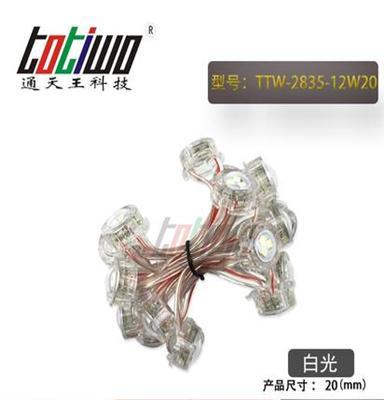 12V20MM白光LED外露穿孔防水2835SMD贴片灯串晶元芯片