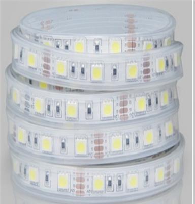 厂家直销LED灯带5050高品质正白暖白套管防水软灯条质保二年