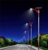 广东LED路灯厂家批发定制6米7米LED太阳能路灯款式多样质量保证