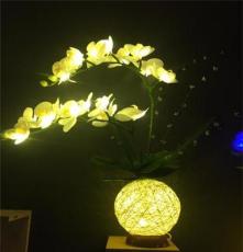 两枝蝴蝶兰花朵灯  鲜花灯 小夜灯 家居台灯鲜花台灯