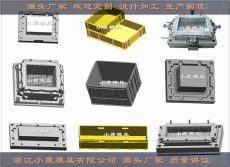 中国塑料模具实力厂家冷藏箱模具高品质模具