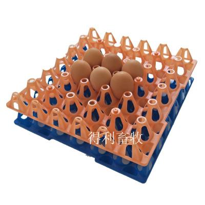 30枚商品蛋托鸡蛋塑料蛋盘鸡蛋运输蛋托