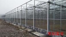 河南/湖北溫室大棚材料 溫室建設的土壤條件