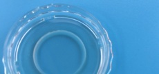 上海晶安J40141活细胞成像专用玻璃底培养皿