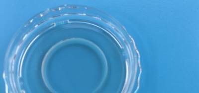 上海晶安J40141活细胞成像专用玻璃底培养皿