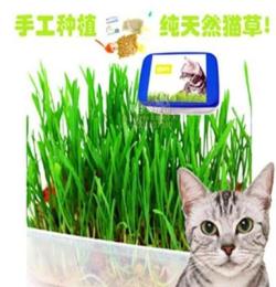 水晶猫草套装 天然猫零食 可化毛 助消化 猫薄荷 猫草 宠物零食