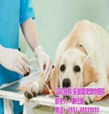 宠物美容中心_合肥宠物_安徽国宠宠物医院
