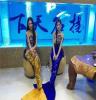 厂家洋清海洋生物水族馆主题展览出租  重庆美人鱼海狮表演租赁展示