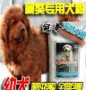 冠奇狗粮促销全国包邮天然犬粮藏獒犬专用幼犬狗粮20kg批发