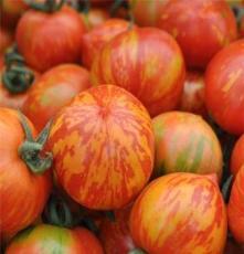 供应无公害 大棚种植 绿色无污染 优质西红柿 常年供货 欢迎选购