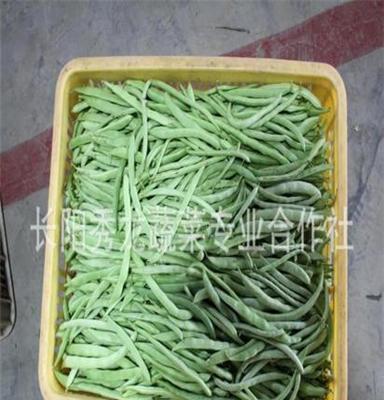 产地直销批发 零售农家菜四季豆 量大从优 味美鲜嫩 高山蔬菜
