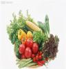 中国优质农畜产品-有机蔬菜 中国优质农畜产品-芥菜