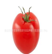 色泽鲜艳西红柿（番茄）6.3元/KG