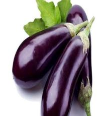 批发供应 新鲜蔬菜 瓜果类 纯天然 紫茄子 清香丝甜 批发茄子
