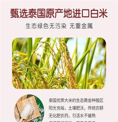 德其尔婴幼儿益生菌米粉营养餐425g