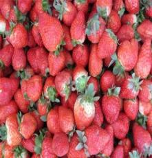 冷冻草莓15-35mm 美十三 美六 全明星