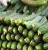长期供应绿色无公害蔬菜-黄瓜 价格优惠，天然大棚种植