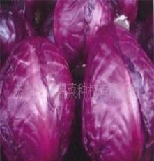 苏州太湖蔬菜种植有限公司 “太湖绿”紫甘蓝 绿色无公害