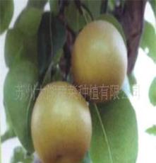 苏州太湖蔬菜种植有限公司 “太湖绿”翠冠梨 绿色无公害