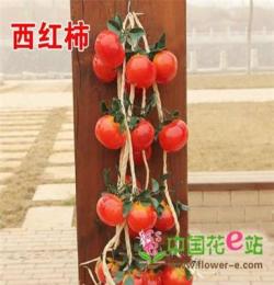 饭店装饰 仿真蔬菜串 西红柿串 假水果蔬菜 挂串 西红柿 仿真水果