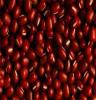 供应红豆批发 红豆厂家 红豆保暖 相思红豆 无锡红豆