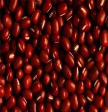 供应红豆批发 红豆厂家 红豆保暖 相思红豆 无锡红豆