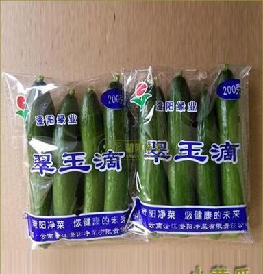 小黄瓜 常年批发进出口生鲜蔬菜 净菜批发 有机蔬菜批发