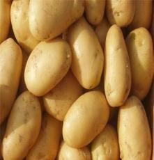 供应山东产地各种土豆