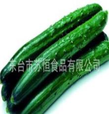 黄瓜 绿色优质蔬菜黄瓜，大棚蔬菜基地，绿色产品