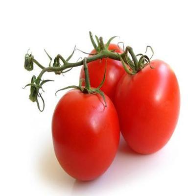 农民种植天然绿蔬菜 西红柿 量大从优 欢迎咨询