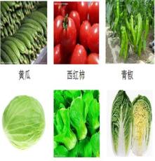 广东富硒蔬菜价格
