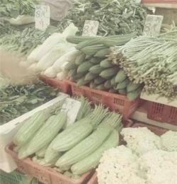 广州专业蔬菜配送食堂承包